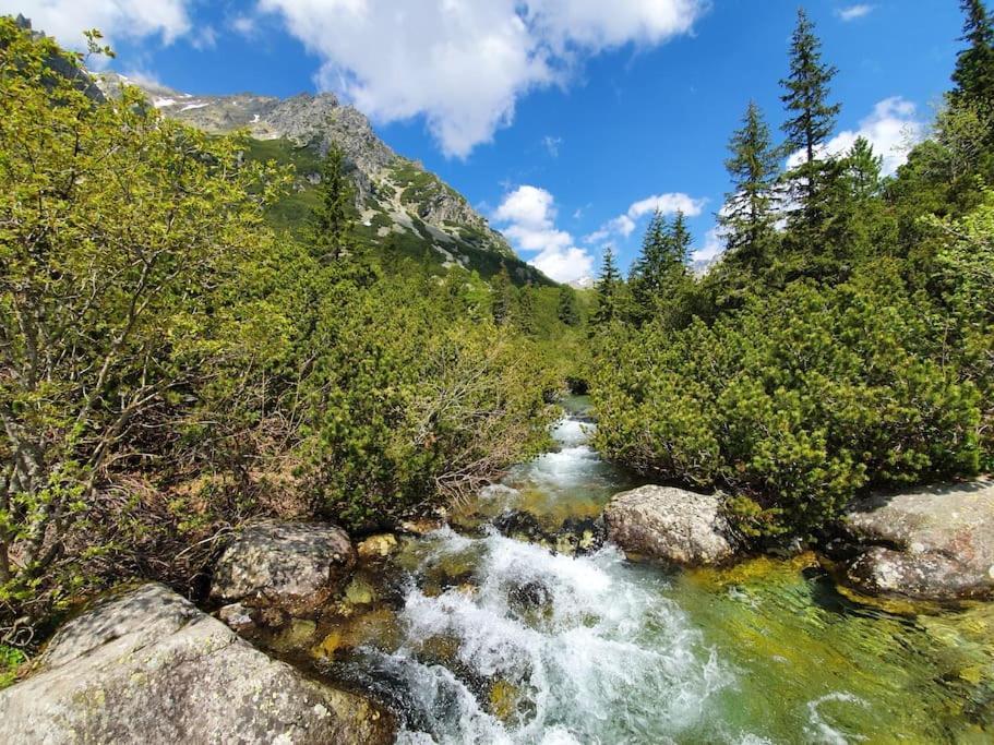 Apartman Ve Vysokych Tatrach Štrbské Pleso 外观 照片